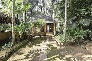 dudhsagar plantation