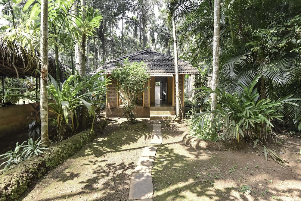 dudhsagar plantation