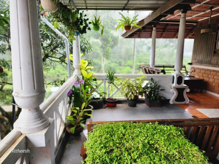 thekkady