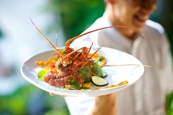 planta luxury boutique resort