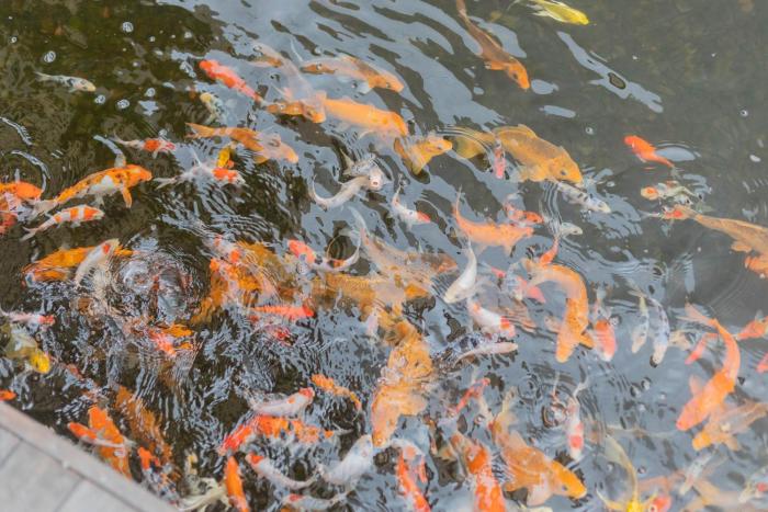 taman mesari luxury villas seminyak