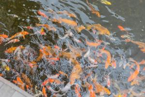 taman mesari luxury villas seminyak