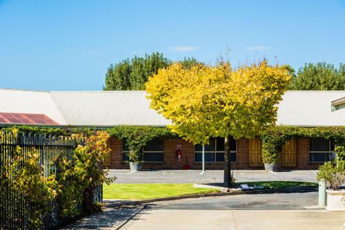 naracoorte