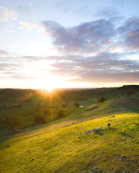 Kimo Estate,In A Rural Location,4 star