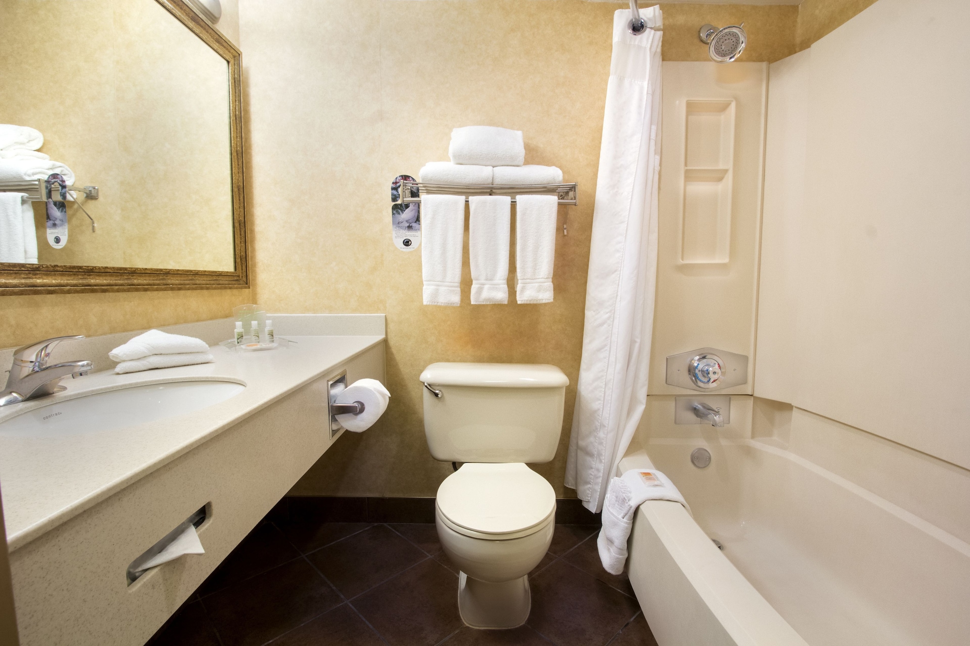 holiday inn calgary airport by ihg