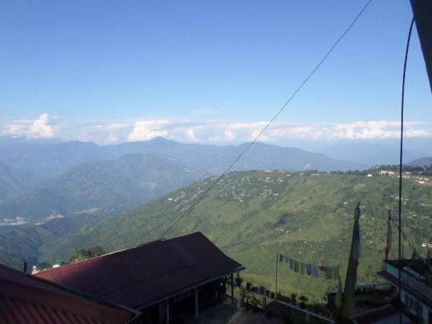 darjeeling