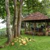 alleppey