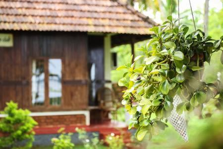 alleppey