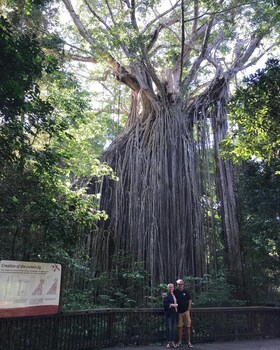 On The Wallaby Eco Lodge - Hostel,Atherton Tablelands>>Atherton,2 star