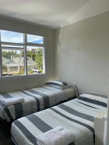 manly bunkhouse hostel