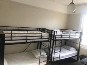 manly bunkhouse hostel