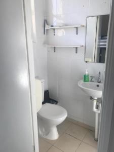 manly bunkhouse hostel