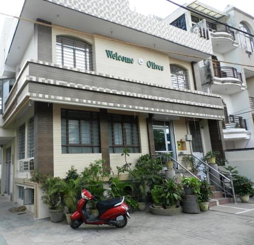 welcome olives