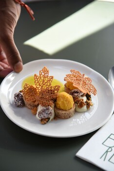 hotel and spa royal madeleine