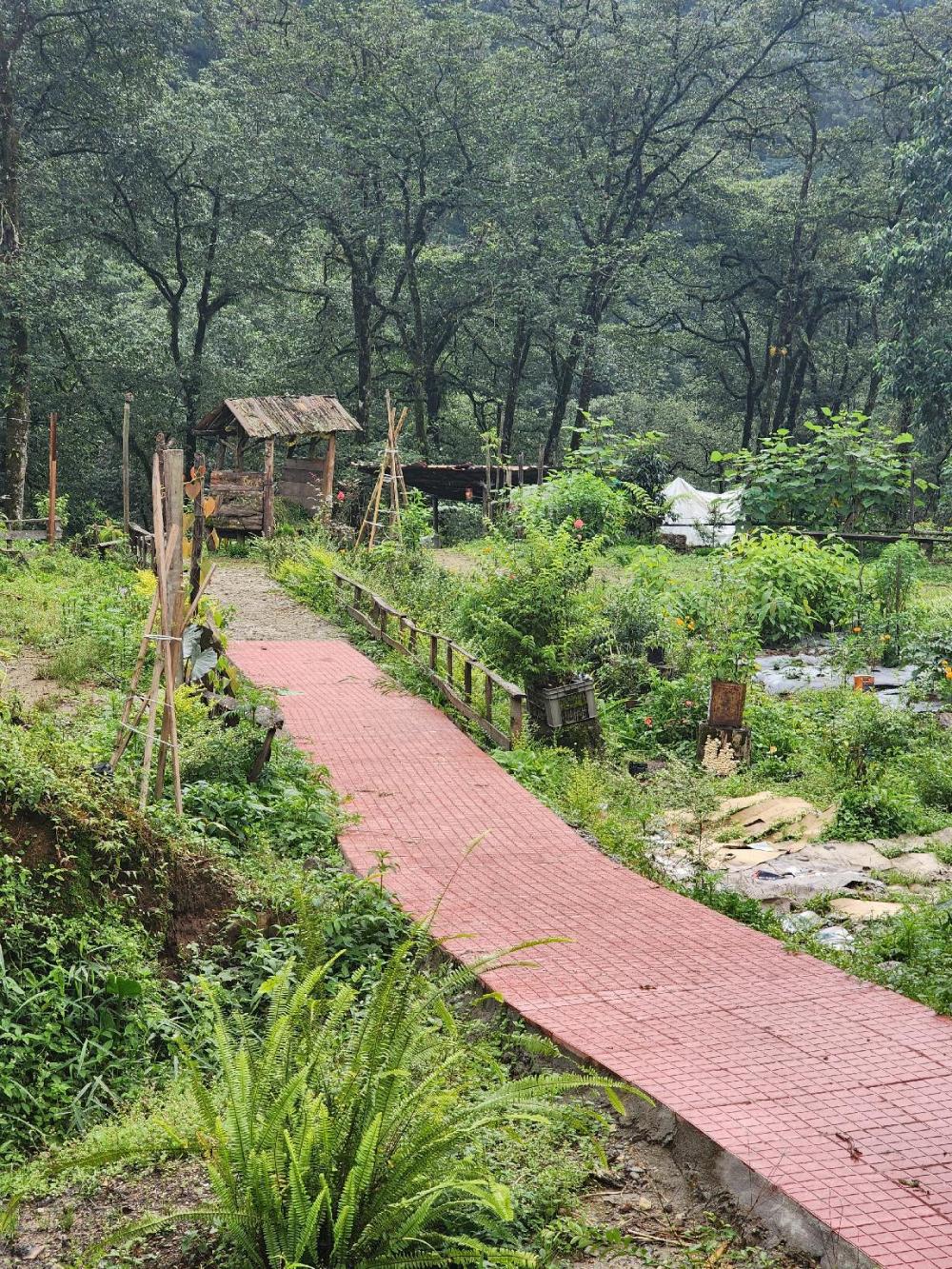 limboo homestay