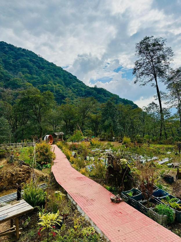 limboo homestay