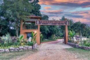 tiger king resort