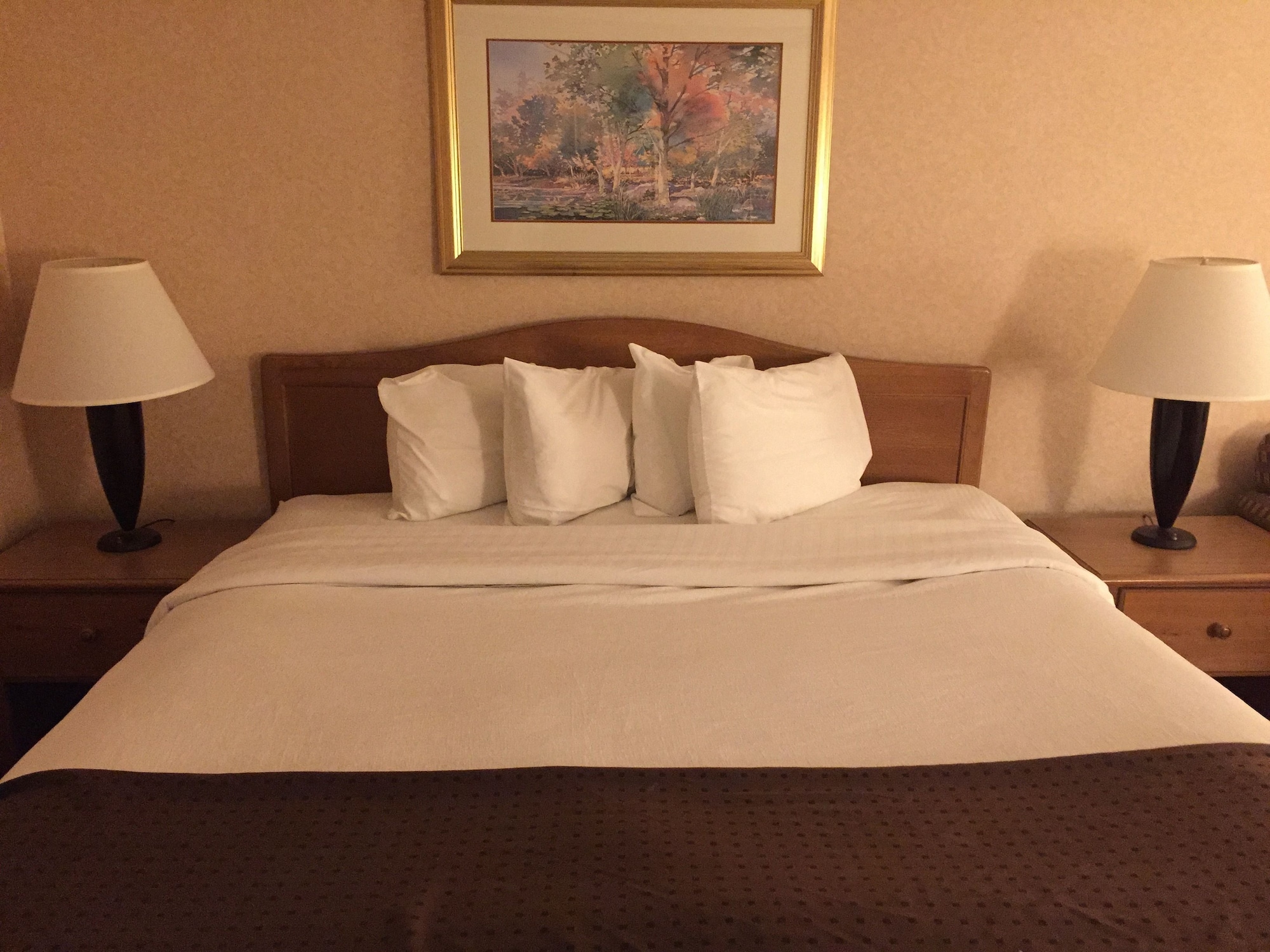 americas best value inn and suites boise