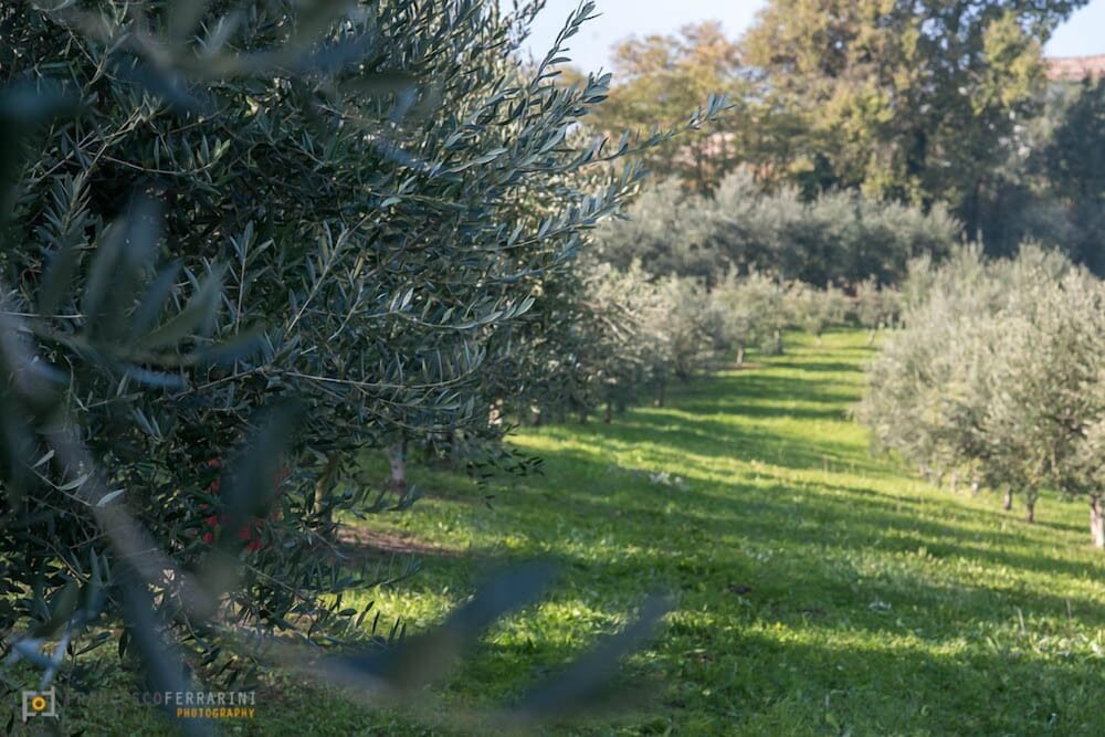 marano sul panaro