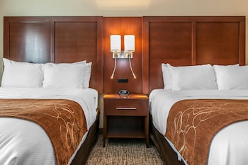 comfort suites rensselaer near fair oaks