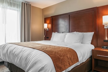 comfort suites rensselaer near fair oaks