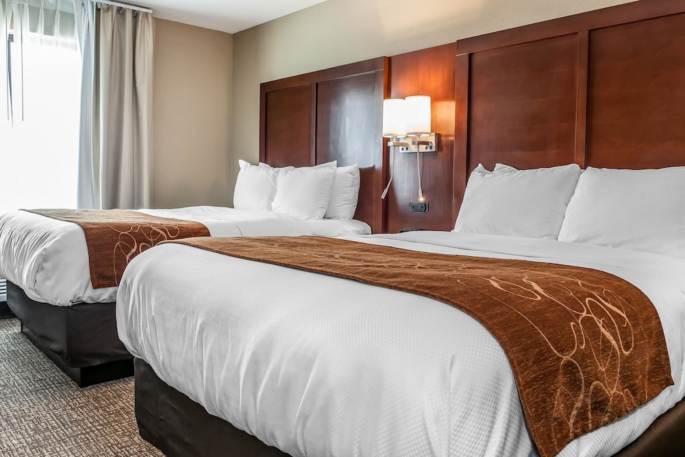 comfort suites rensselaer near fair oaks