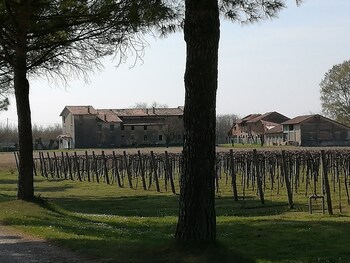 Agriturismo Ai Due Leoni,Friuli Venezia Giulia>>Aquileia,1 star