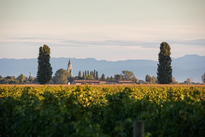 agriturismo ai due leoni