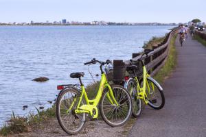 agriturismo ai due leoni