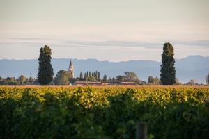 agriturismo ai due leoni