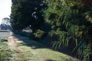agriturismo ai due leoni