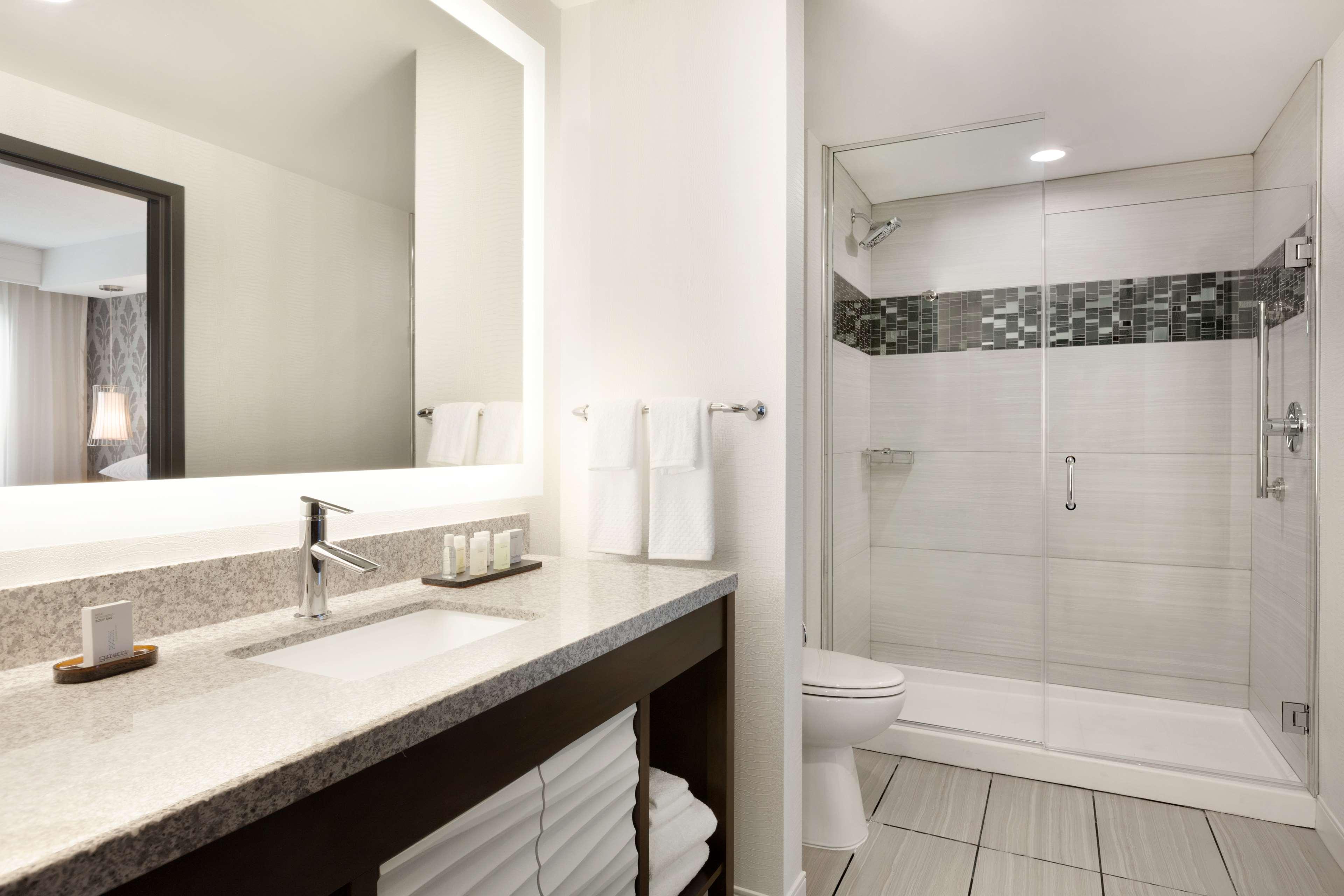 embassy suites by hilton atlanta ne gwinnett sugarloaf