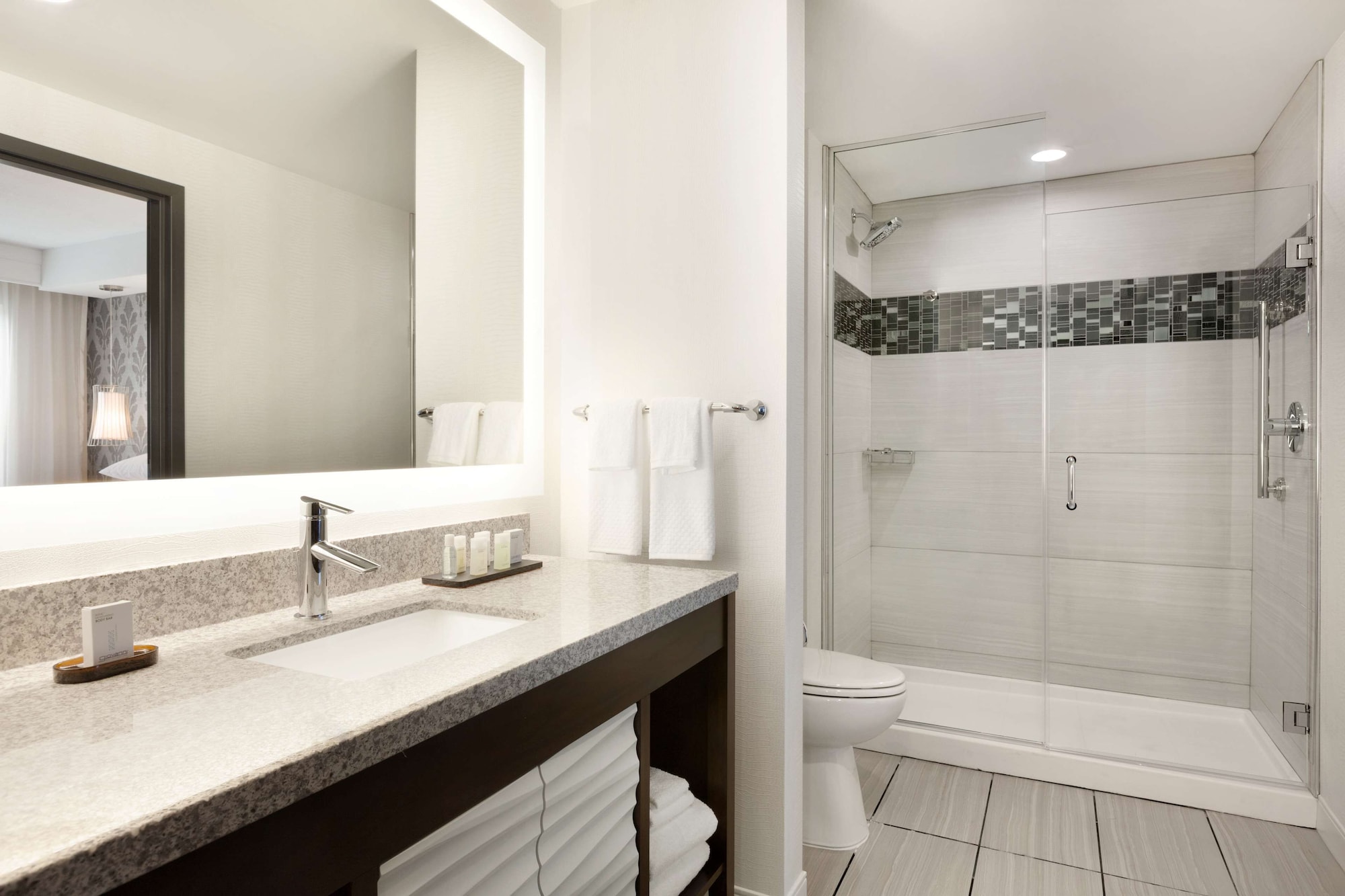embassy suites by hilton atlanta ne gwinnett sugarloaf