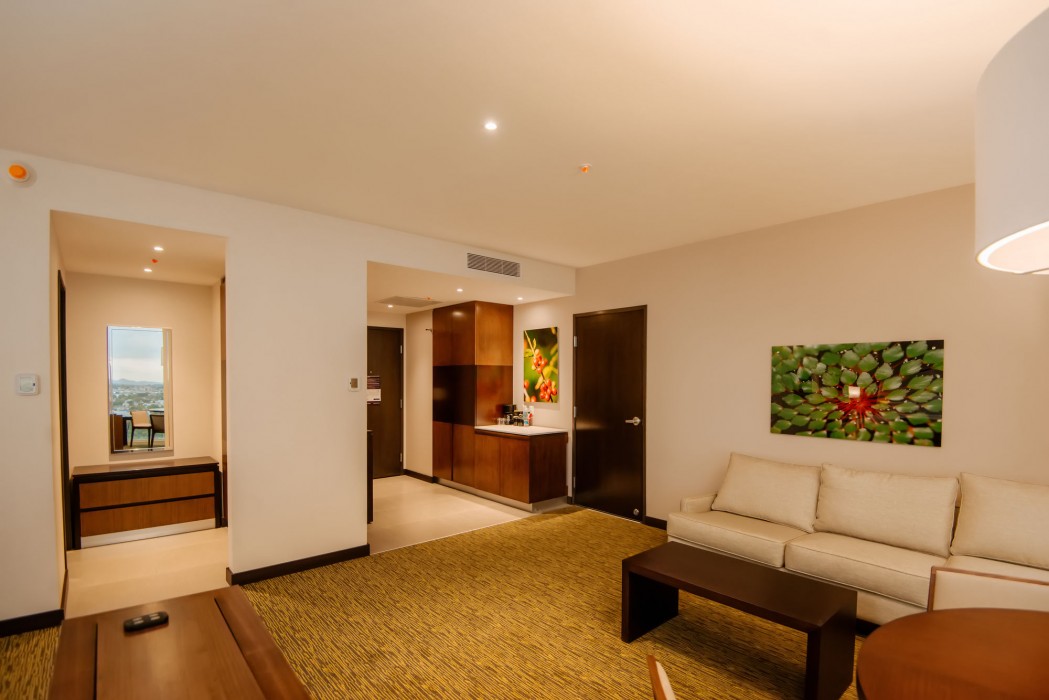 hilton garden inn puebla angelopolis