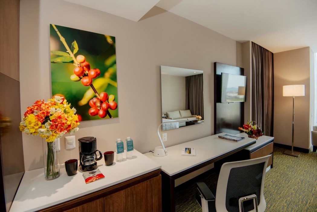 hilton garden inn puebla angelopolis