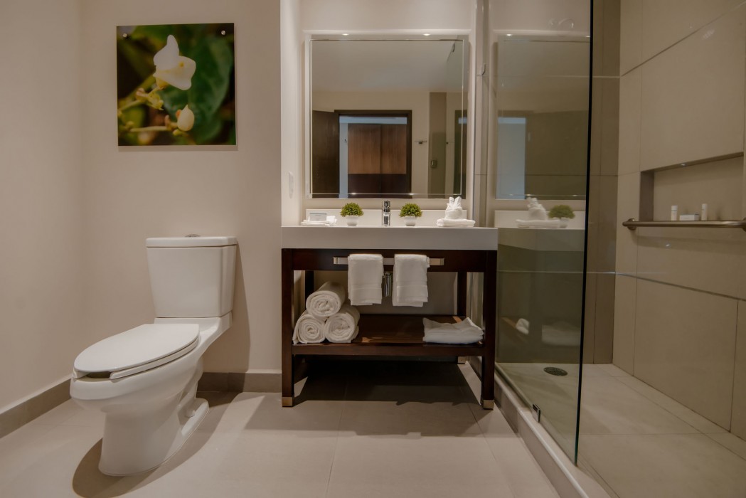 hilton garden inn puebla angelopolis