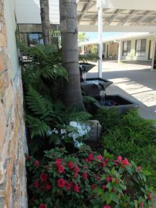 barooga river gums motor inn