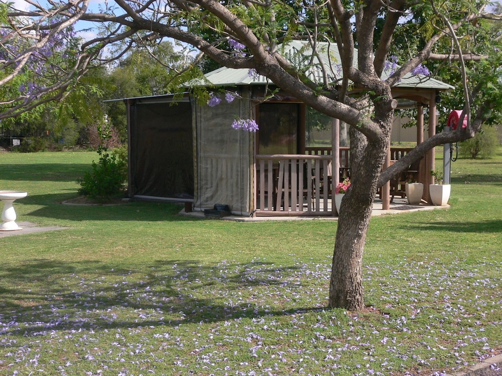 chinchilla motel