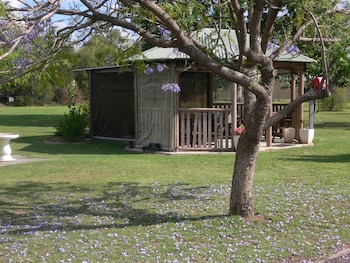 chinchilla motel