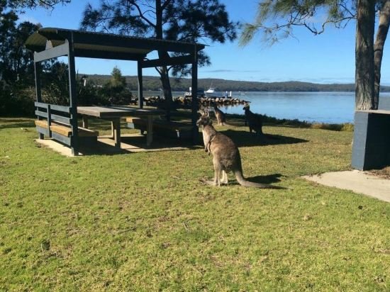 dungowan waterfront accommodation