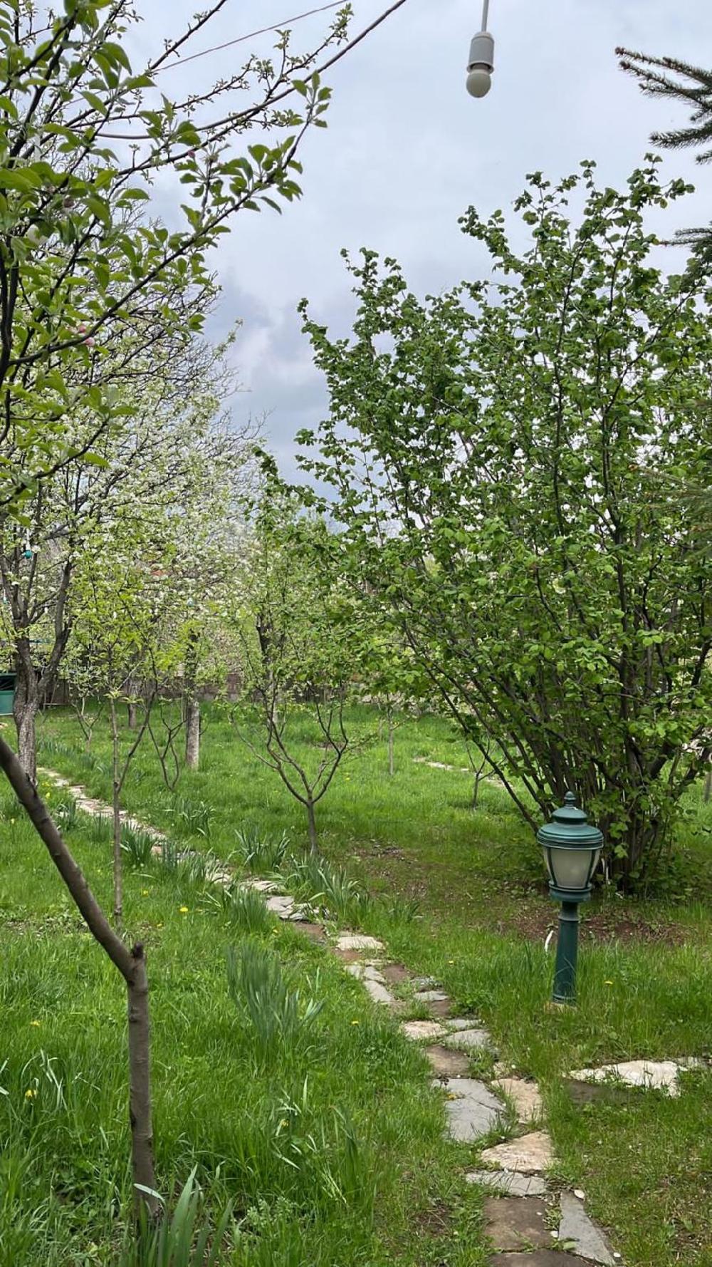 dilijan