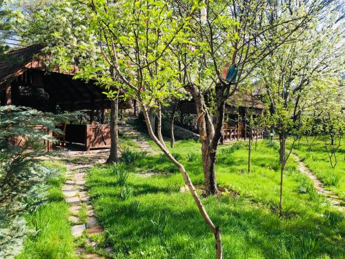 dilijan
