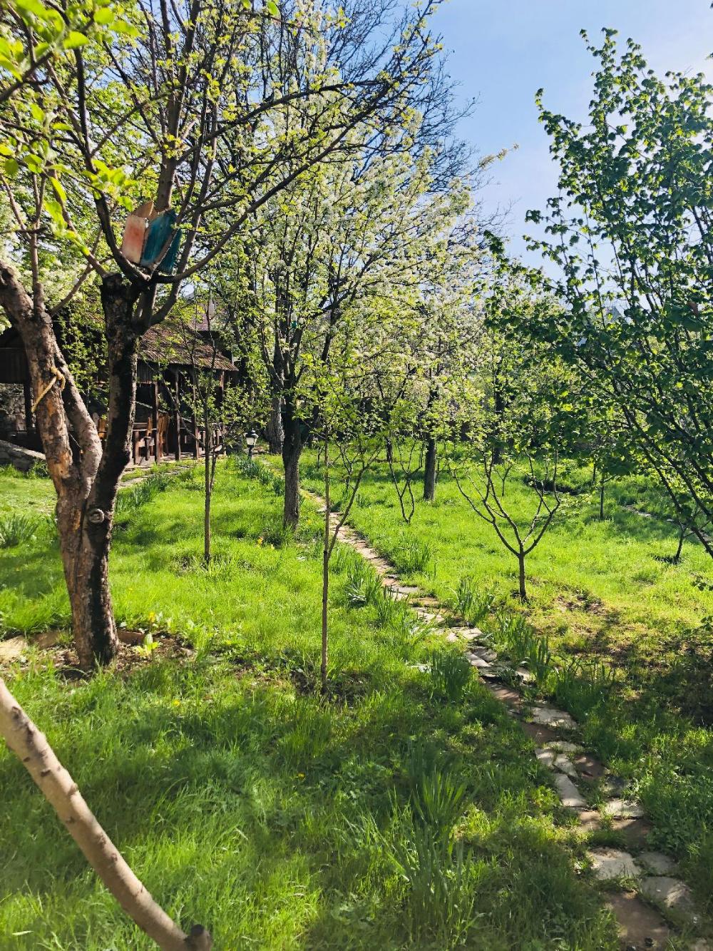 dilijan