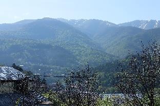 dilijan
