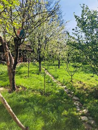 dilijan