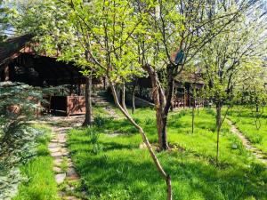 dilijan