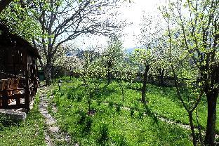 dilijan