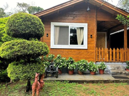 oxyzone coorg by stayapart