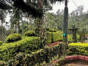coorg