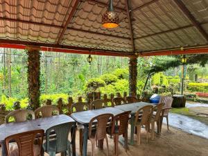 oxyzone coorg by stayapart